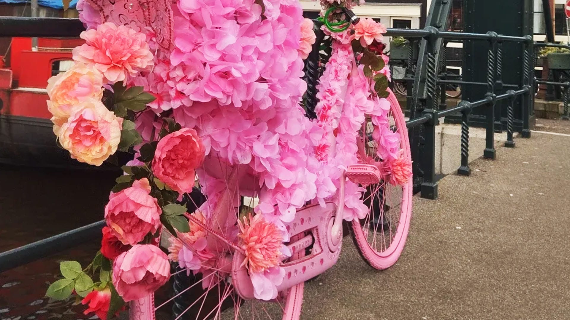 Flower Bike Man: See all the current works around Amsterdam
